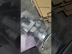 Valvole a sfera in acciaio inossidabile 304 DN25